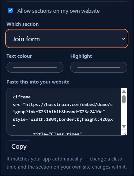 The same panel close up: pick a section, set two colours, and copy the one line that goes into your own website